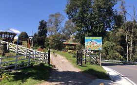 La Vaca Fifí